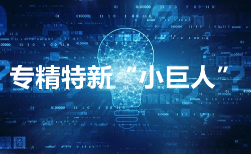 長(zhǎng)沙或新增10家國家重點(diǎn)小巨人企業(yè)