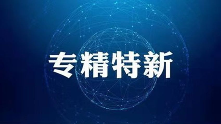 湖南株洲：80家企業(yè)有望“長”成專精特新省級“小巨人”