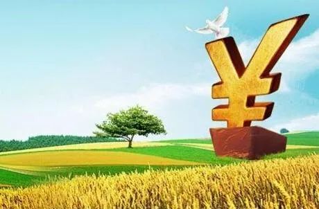 企業(yè)如何拿到政府補(bǔ)貼？企業(yè)申報(bào)政府補(bǔ)貼的流程