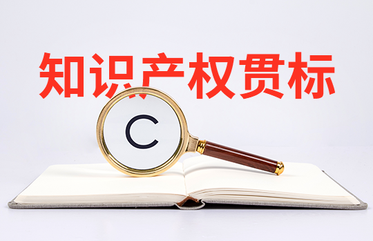 企業(yè)知識產(chǎn)權(quán)貫標申請有哪些條件_知識產(chǎn)權(quán)貫標申報條件
