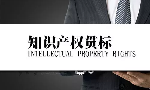 什么是知識產(chǎn)權(quán)貫標(biāo)(企業(yè)如何完成知識產(chǎn)權(quán)貫標(biāo))