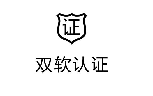 2023年雙軟企業(yè)認定需要哪些材料?